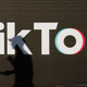 Illustration for article titled TikTok Removes Videos From Conservatives Containing False Voter-Fraud Allegations